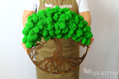 ЖИВАЯ ЭКО-КАРТИНА 1025