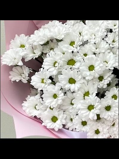 Букет из 19 хризантем