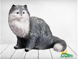 Кот персидский серый