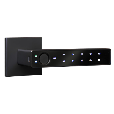 Умная электронная дверная ручка Smart lock R10 Черная