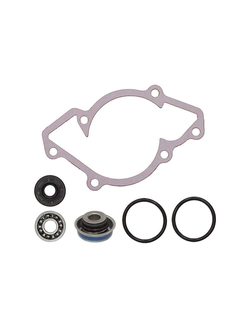 Ремкомплект помпы охлаждения SPI 10-721258 для BRP, Ski-Doo, Lynx Rotax 593 (2004-2020) Rotax 593 HO (2004-2006) Rotax 793 HO (2004-2006)(420931810, 420650370, 420950890, 420230196, 420230195)