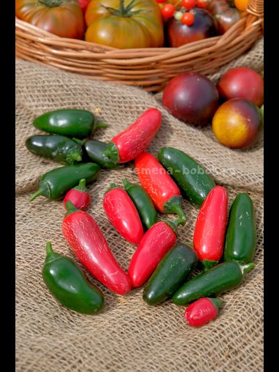 Перец острый Jalapeno Senorita (Халапеньо Сеньорита), 10 шт