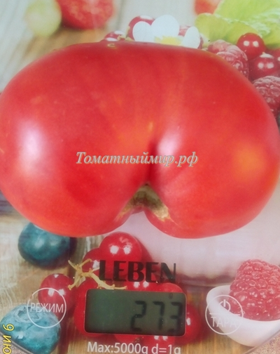 Томат Гордость Грайтмара (Grightmire's Pride) США