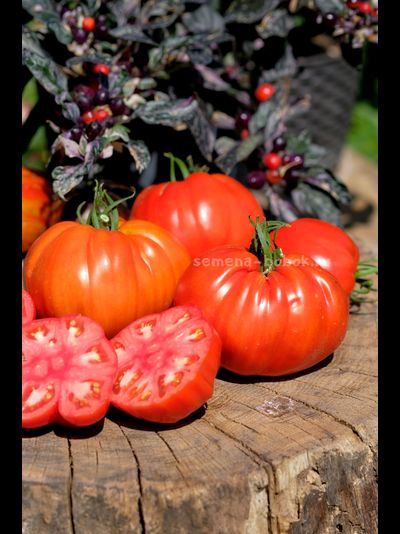 Томат Reduci (Ветеран), 10 шт