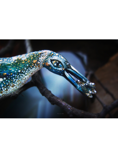 Брошь с сапфиром из серии Заполярных пингвинов