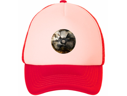 Кепка Stalker/ Сталкер №4