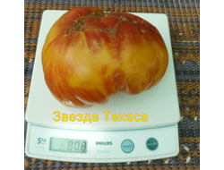 Томат Звезда Техаса (Texas Star)