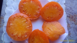 Ночная свеча