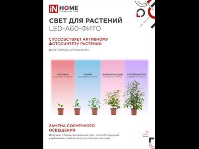 ASD/InHome фито лампа для рассады и растений ЛОН А60 E27 15W 15мкмоль/с 110x60 LED-A60-FITO 6502