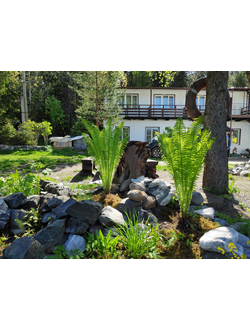 НОМЕРА ЭКОНОМ