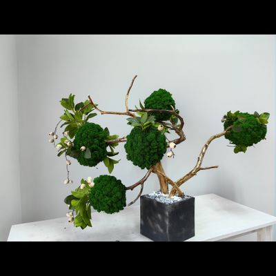 Живая эко-композиция 1006