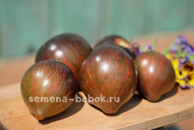 Томат Восставший Звездный Истребитель Прайм, 10 шт