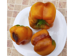 Перец сладкий Млечный путь (Milky Way)