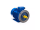 Электродвигатель АИС 100LB4 (3 кВт) IM B35