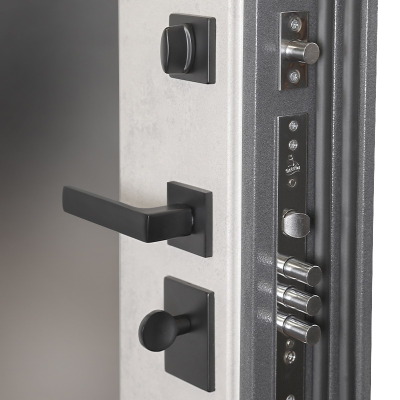 Стальная дверь    Беркут с зеркалом