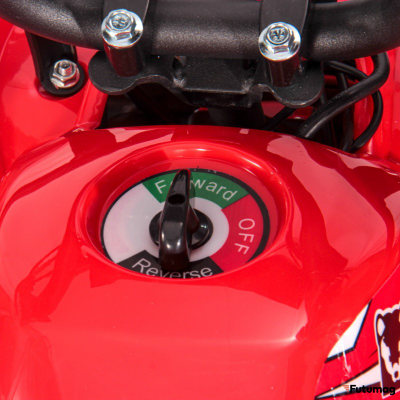 Электроквадроцикл WHITE SIBERIA SNEG MINI 1000W Красный