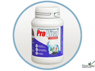 Provital Vitamin (200 мл) Комплекс для крепкого здоровья и хорошего иммунитета