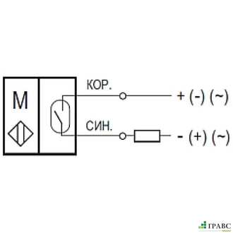 Магниточувствительный датчик MS FE3A6-21