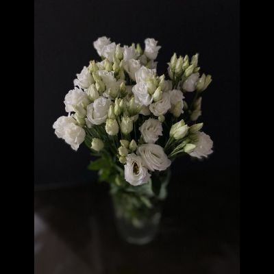 Эустома 9 шт