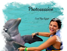 DOLPHINARIUM - PHOTOSESSION WITH DOLPHINS IN HURGHADA