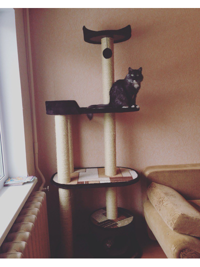 №163 Игровой комплекс Победа