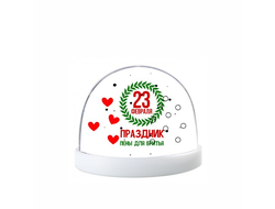 Водяной шар на 23 февраля №13