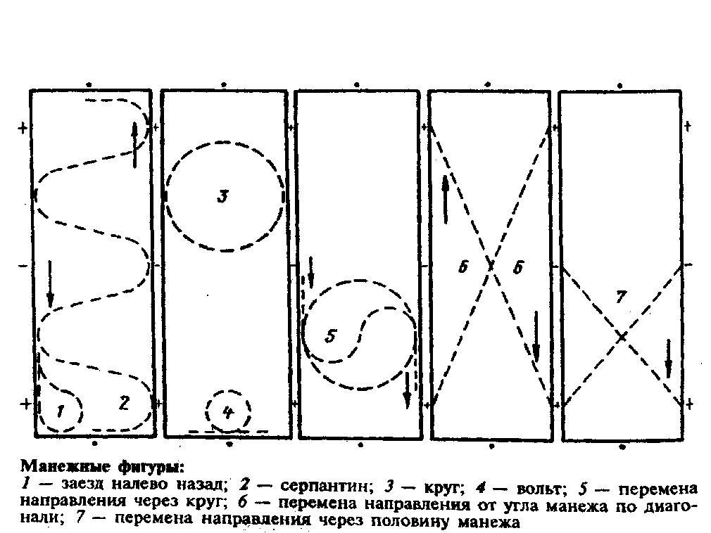 Схема манежа. Манежные фигуры в конном спорте. Конный спорт Манежная езда схемы. Схема манежа для выездки. Манежная езда 2.1 схема.