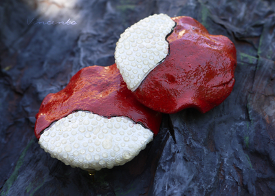 Комплект фэнтези-украшений "Яблочко Белоснежки" (парадное колье и крупные серьги)