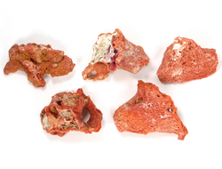 Коралл природный в ассортименте, Индонезия (30-35 мм, 3-4 г) №27528