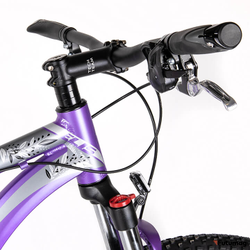 Велосипед TechTeam Elis 27.5 2021 фиолетовый