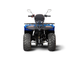 Квадроцикл IRBIS ATV 250