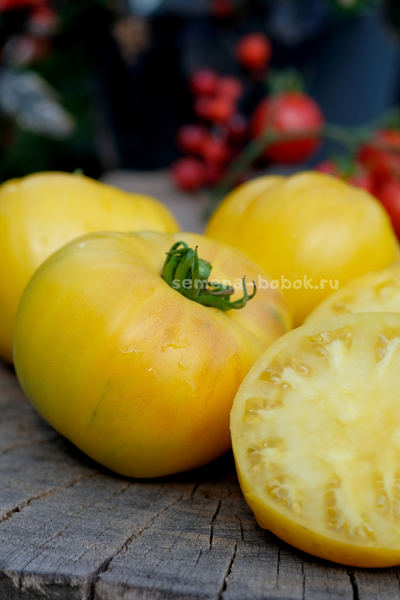 Томат Манго Минусинское, 10 шт