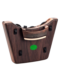 Guitto GGP-01