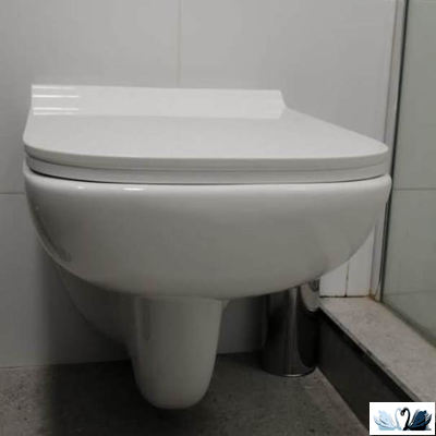 Унитаз подвесной Geberit Renova Plan 202170000, безободковый