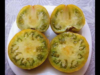 Томат Мшистый дуб (Mossy Oak)