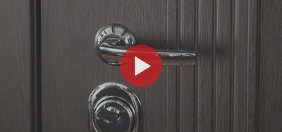 Стальная дверь   Викинг