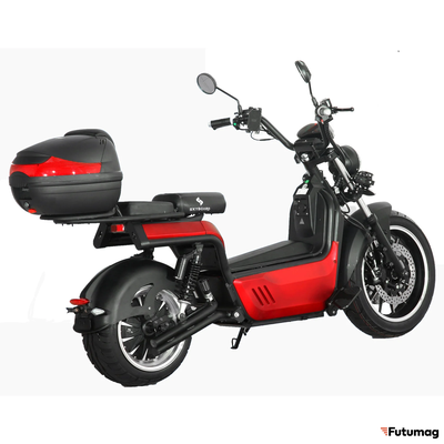 ЭЛЕКТРОСКУТЕР SKYBOARD Amur BR100-5000 Red
