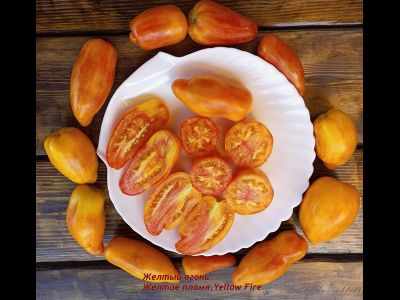 Томат Желтый огонь (Yellow fire, Желтое пламя)