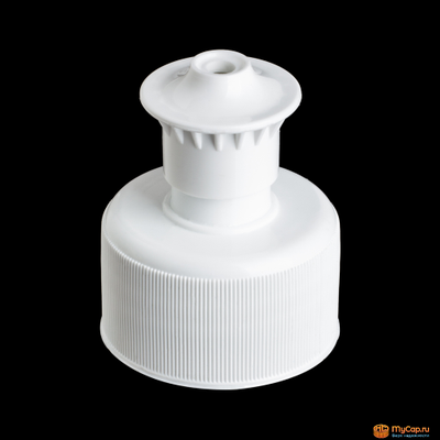 Колпачок пуш-пул Раф 28/410