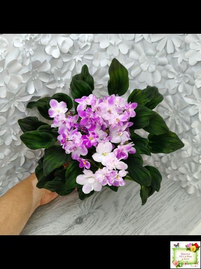 LV-Кирюша (Л. Шевелева) 2022 г. трейлер (клакамас)