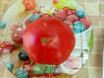 Сильно поспел, поэтому практически красный сверху