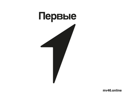 Псевдообъемные буквы +логотип  "ПЕРВЫЕ" 1000х500мм