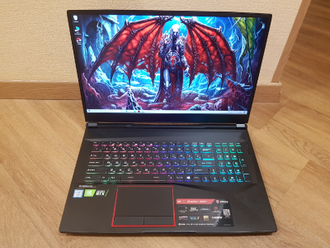 MSI GE75 RAIRER 8SE-209RU ( 17.3 FHD IPS 144HZ I7-8750H RTX2060(6Gb) 16GB 1TB + 256SSD )