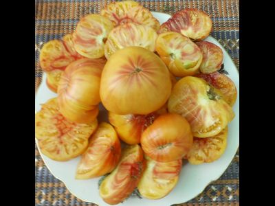 Томат Звезда Техаса (Texas Star)