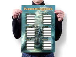 Расписание уроков год Тигра №9