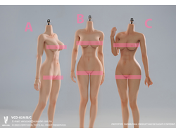 Супер-подвижное бесшовное женское тело (ТЕЛОИД) 1/6 - Articulated Silicone Medium Bust Female Body seamless legs (VCD-02B) - VERYCOOL