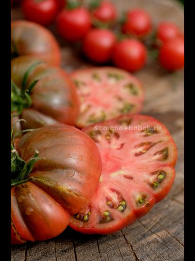 Томат Один Трюк Пони ( One Trick Pony), 10 шт