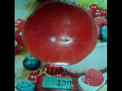 Томат Роза Техаса