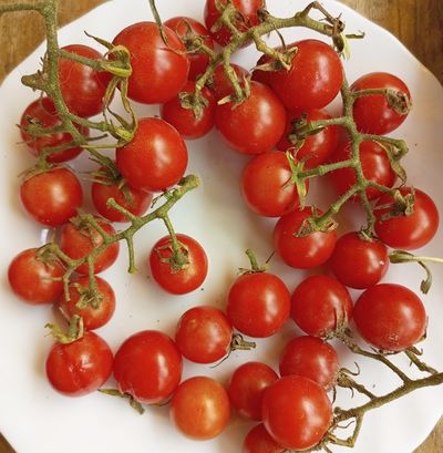 Томат черри Метта дикая вишня (The Matt&#039;s Wild Cherry Tomato)