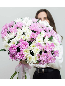 Хризантема кустовая